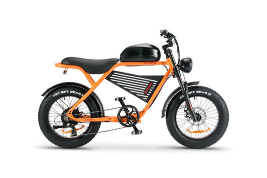 Bici Elettrica LEGACY 4.0 – ZT-75B