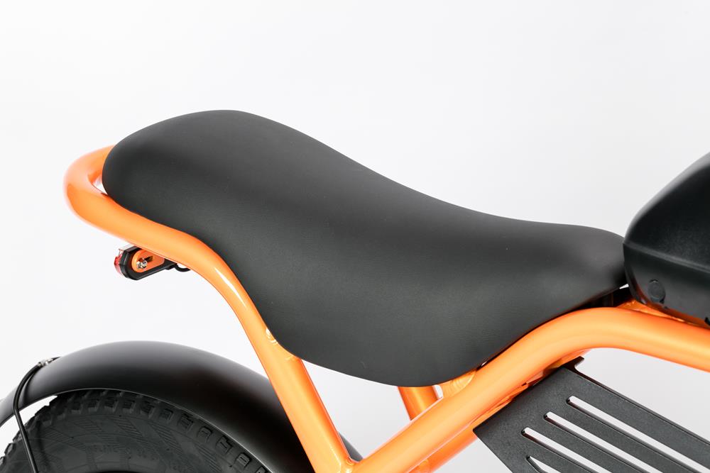 Bici Elettrica LEGACY 4.0 – ZT-75B